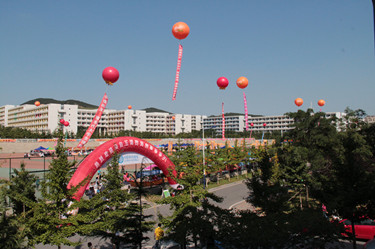 yingxin2.jpg