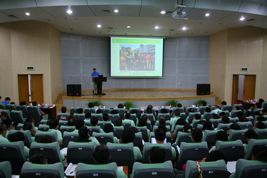 06.jpg