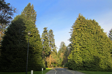 08.jpg