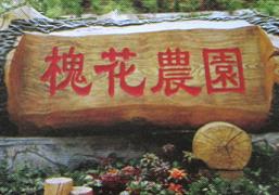 槐花农园1.jpg